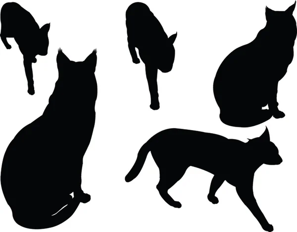 Colección gato salvaje - vector — Vector de stock