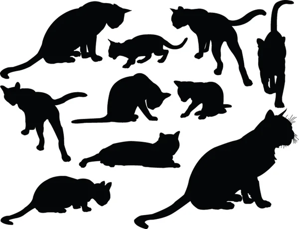 Colección de gatos - vector — Vector de stock