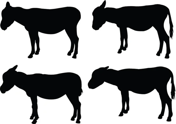 Colección de burros - vector — Archivo Imágenes Vectoriales