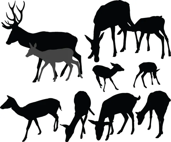 Deer collection - vector — Stock Vector