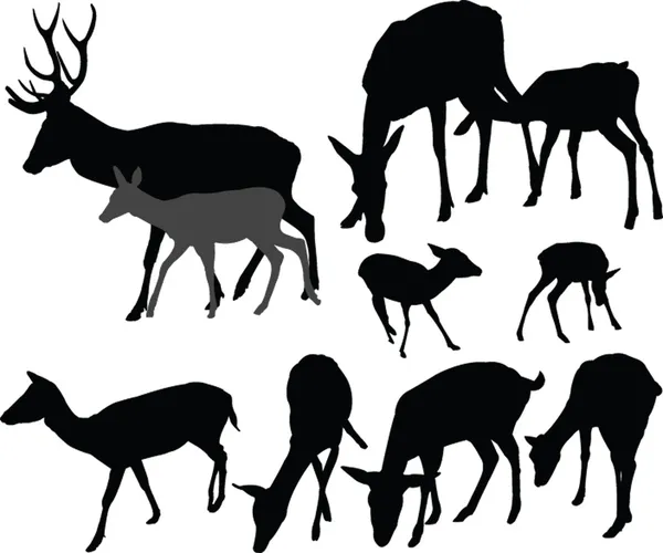 Collection de cerfs - vecteur — Image vectorielle