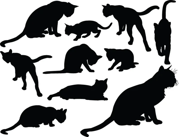 猫集合-矢量 图库插图