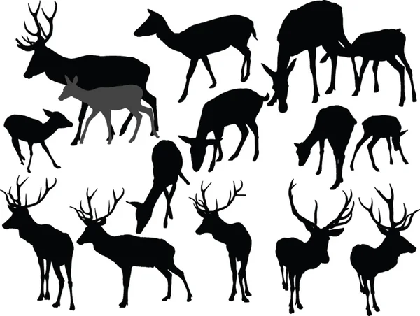 鹿收藏-矢量 图库插图