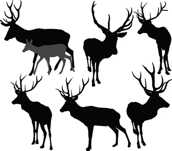 Kolekcja jelenia - wektor Grafika Wektorowa