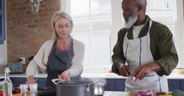 인종인 가집에 부엌에서 앞치마를 요리를 부부의 — 비디오