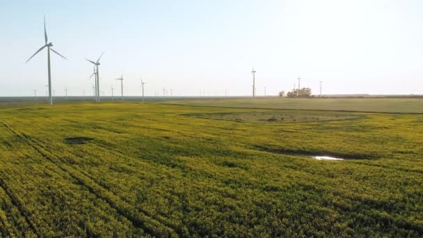 Algemeen Zicht Windturbines Landelijk Landschap Met Wolkenloze Lucht Milieu Duurzaamheid — Stockvideo