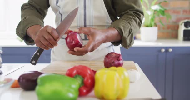 Sección Media Del Hombre Con Delantal Pelando Cebollas Cocina Casa — Vídeos de Stock