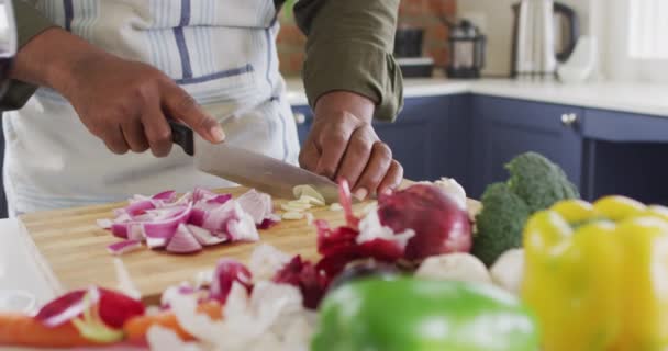 Evdeki Mutfakta Önlük Giymiş Sebze Doğrayan Bir Adamın Orta Bölümü — Stok video
