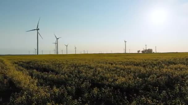Общий Вид Ветряных Турбин Сельской Местности Безоблачным Небом Окружающая Среда — стоковое видео