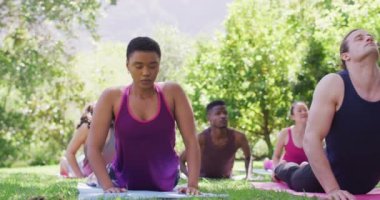 Bir grup genç insan parkta meditasyon yapıyor ve yoga yapıyorlar. yoga, meditasyon ve sağlıklı yaşam tarzı konsepti