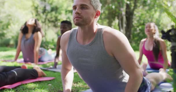 Grupp Olika Ungdomar Mediterar Och Utövar Yoga Tillsammans Parken Yoga — Stockvideo