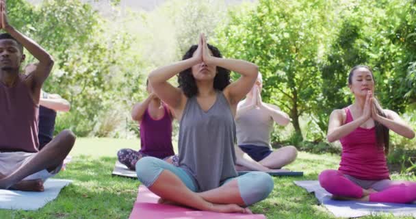 Gruppe Verschiedener Junger Leute Die Gemeinsam Park Meditieren Und Yoga — Stockvideo