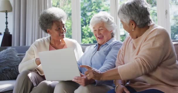 여성들 노트북을 사용하여 소파에 있습니다 방식의 — 비디오
