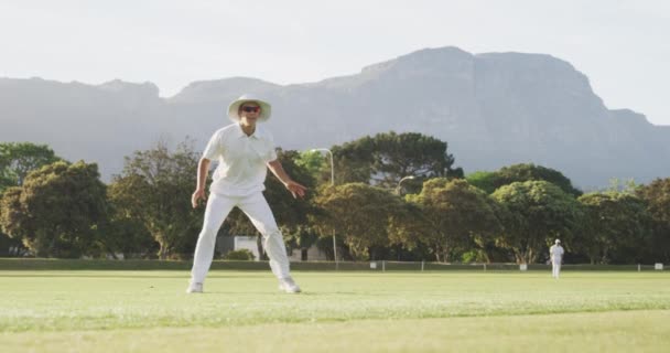 Vooraanzicht Van Een Blanke Mannelijke Cricketspeler Die Wit Een Hoed — Stockvideo