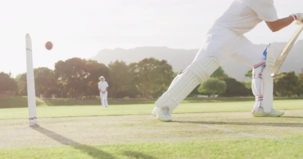 Vue Côté Section Basse Adolescent Joueur Cricket Masculin Caucasien Sur — Video