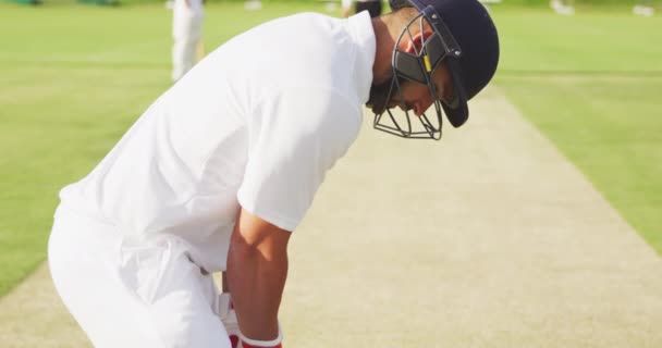 Side View Mixed Race Male Cricket Player Pitch Wearing Whites — Stock Video