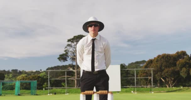 Přední Pohled Bělošského Rozhodčího Mužského Kriketu Bílé Košili Černé Kravatě — Stock video