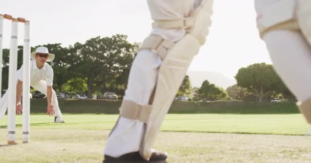 Låg Vinkel Sida Bild Asiatisk Manlig Cricket Spelare Bär Vita — Stockvideo