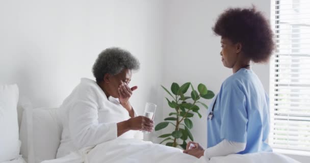 Cuidar Mulheres Afro Americanas Ajuda Tomar Medicamentos Mulheres Idosas Cuidados — Vídeo de Stock