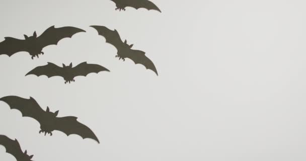 Multiple Halloween Bat Icons Copy Space Grey Background Halloween Holiday — Stock Video