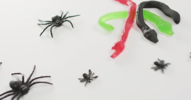 Nahaufnahme Von Halloween Spinnen Und Schlangen Spielzeug Vor Grauem Hintergrund — Stockvideo