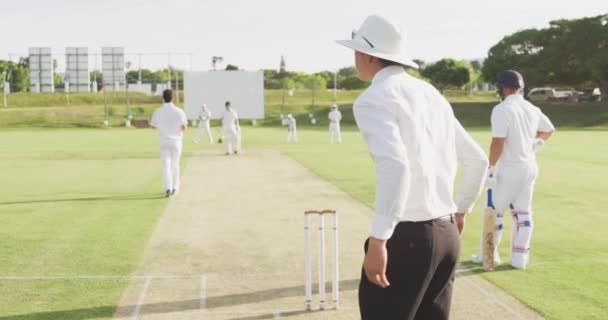 Visão Traseira Árbitro Críquete Masculino Caucasiano Vestindo Camisa Branca Chapéu — Vídeo de Stock