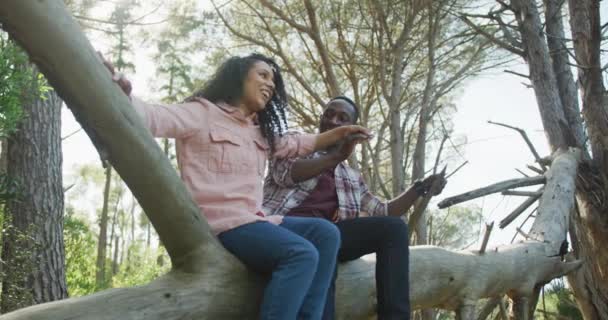 Couple Souriant Diversifié Tenant Main Assis Sur Arbre Campagne Mode — Video