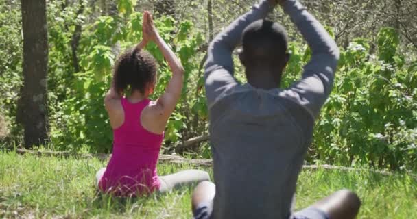 Diversa Pareja Practicando Yoga Meditando Campo Estilo Vida Saludable Activo — Vídeo de stock