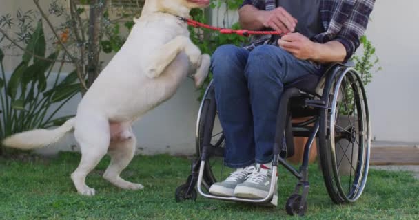 路上でペット犬と遊んでいる車椅子で笑顔の白人障害者の男 身体障害のある国内生活 — ストック動画