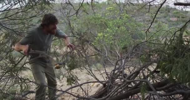 长胡子的高加索男性幸存者 手持斧头移动树枝 在荒野的营地里栖身 自然求生者 — 图库视频影像