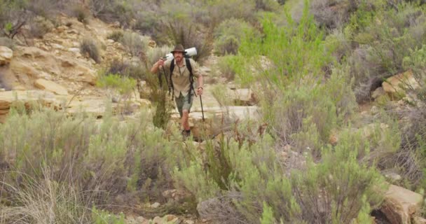 Caucasian Male Survivalist Trekking Wilderness Backpack Walking Poles Exploration Travel — Stock Video