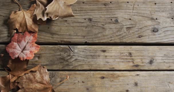 Vista Cerca Las Hojas Otoño Con Espacio Copia Superficie Madera — Vídeos de Stock