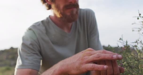快乐的有胡子的高加索男性幸存者采摘浆果 在荒野中微笑 自然求生者 — 图库视频影像