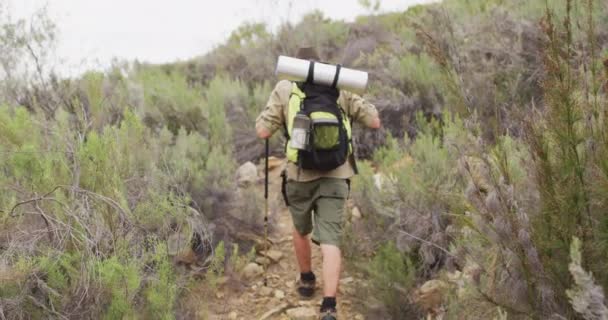 Caucasian Male Survivalist Trekking Trail Wilderness Backpack Walking Poles Exploration — Stock Video