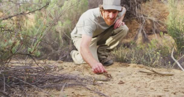 Caucasian Male Survivalist Squatting Examining Animal Dropping Wilderness Exploration Travel — Stock Video