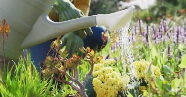 Gülümseyen Afrikalı Amerikalı anne ve kızının güneşli bahçede bahçeyle uğraşırken portresi. evde aile hayatı ve kaliteli aile zamanı.