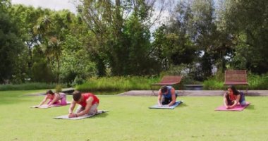 Çeşitli erkek ve kadın grupları parkta hasırların üzerinde yoga yapıyorlar. fitness, sağlıklı hobiler ve açık havada aktif yaşam tarzı.