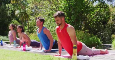 Çeşitli erkek ve kadın grupları güneşli parkta paspaslar üzerinde yoga yapıyorlar. fitness, sağlıklı hobiler ve açık havada aktif yaşam tarzı.