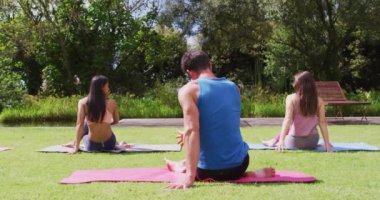 Değişik grupların parkta minderlerin üzerinde yoga çalışmalarını gösteren dikiz görüntüsü. fitness, sağlıklı hobiler ve açık havada aktif yaşam tarzı.