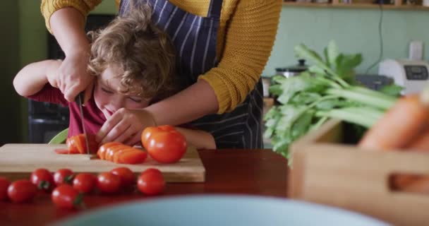 Szczęśliwej Kaukaskiej Matki Syna Siekających Warzywa Kuchni Gospodarstwo Agroturystyczne Zdrowy — Wideo stockowe