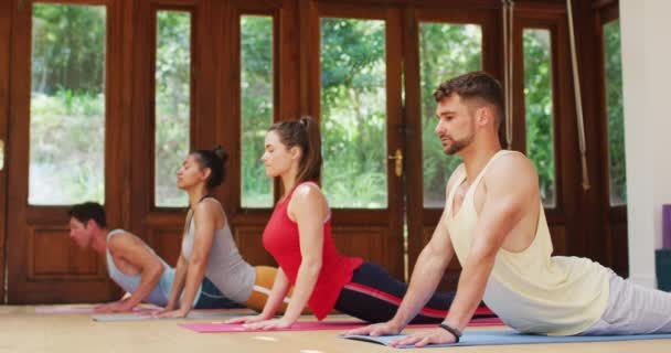 在健康工作室瑜伽课上 不同的瑜伽小组在垫子上伸展着身体 健康的爱好和积极的生活方式 — 图库视频影像