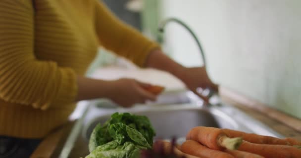 Sección Media Mujer Caucásica Lavando Verduras Cocina Granja Estilo Vida — Vídeos de Stock