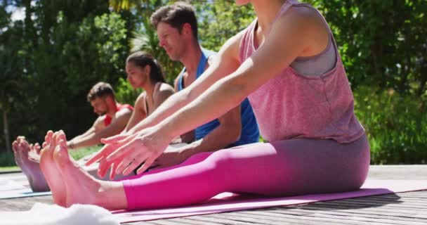 Diversos Grupos Masculinos Femeninos Practican Yoga Estirándose Sentados Esteras Parque — Vídeo de stock