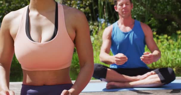 Diverse Männer Und Frauen Praktizieren Yoga Sitzend Auf Matten Sonnigen — Stockvideo