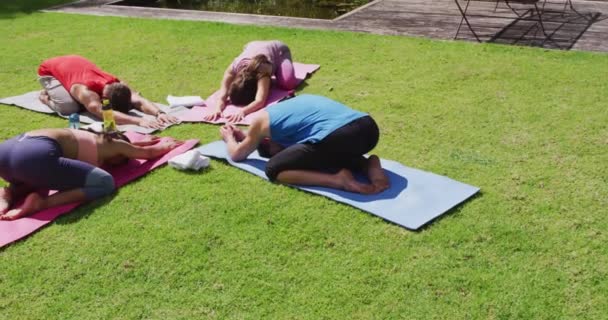 Çeşitli Gruplar Yoga Yapıyor Paspaslar Üzerinde Diz Çöküyor Güneşli Parkta — Stok video