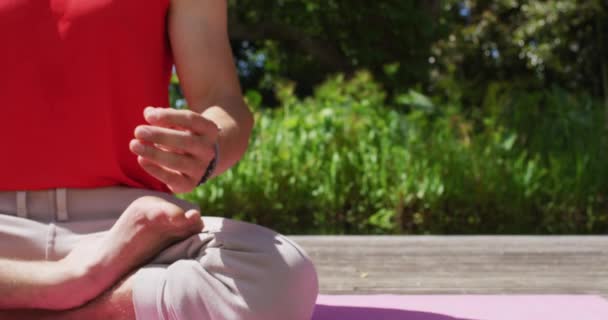 Güneşli Parkta Yoga Yapan Beyaz Bir Adamın Orta Kesiminde Fitness — Stok video