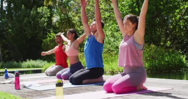 Diverse Männliche Und Weibliche Gruppen Praktizieren Yoga Kniend Auf Matten — Stockvideo