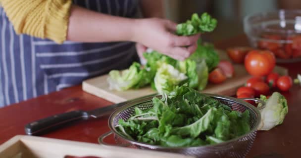 Beyaz Kadın Salata Hazırlıyor Mutfakta Sebze Doğruyor Kırsal Kesimdeki Organik — Stok video