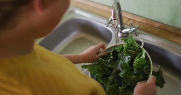 白人妇女在厨房里洗蔬菜 农村有机农场的自耕农 健康的生活方式 — 图库视频影像