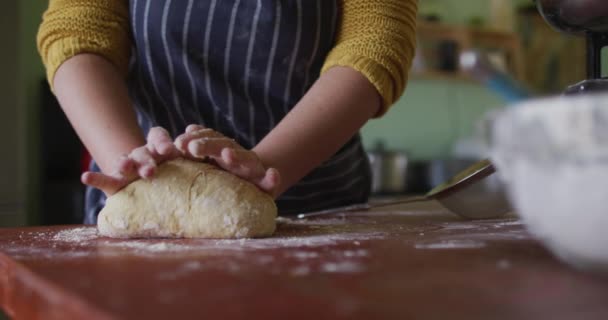 Sección Media Mujer Caucásica Hornear Cocina Granja Estilo Vida Saludable — Vídeos de Stock